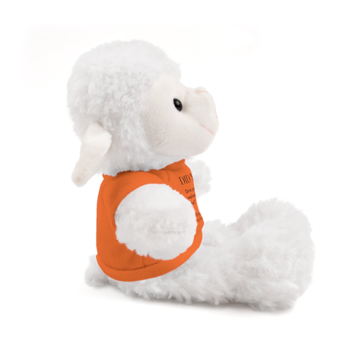 Accountability Pals - Stuffed Animals with Tee