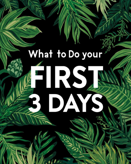 What to Do Your FIRST 3 Days