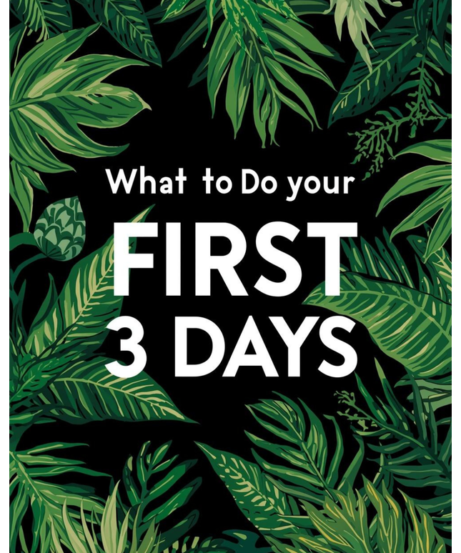What to Do Your FIRST 3 Days