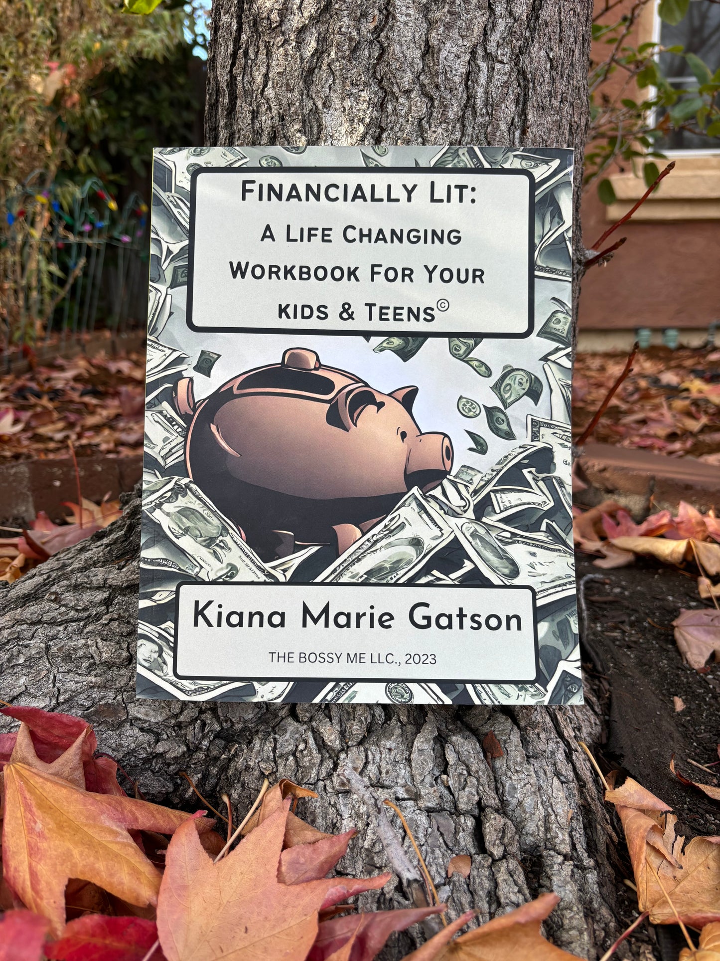 Financially Lit: A Life Changing Workbook For Your Kids & Teens