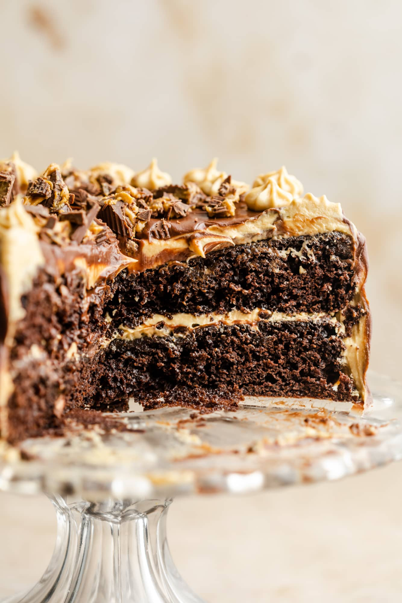 Chocolate Peanut Butter Cake